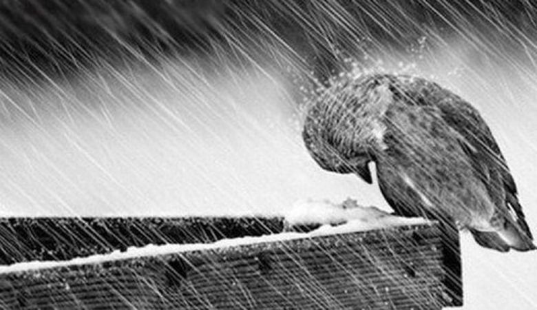 О`Шакирдин аңгеме дүкөнүнөн эки шиңгил