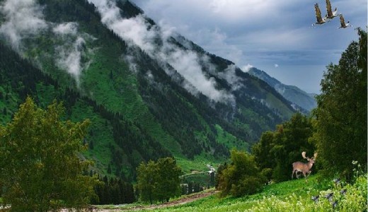 ШАЙЛООБЕК ДҮЙШЕЕВ: КЫРГЫЗ ЖАЗЫ